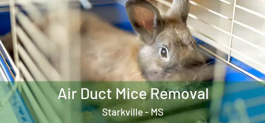 Air Duct Mice Removal Starkville - MS