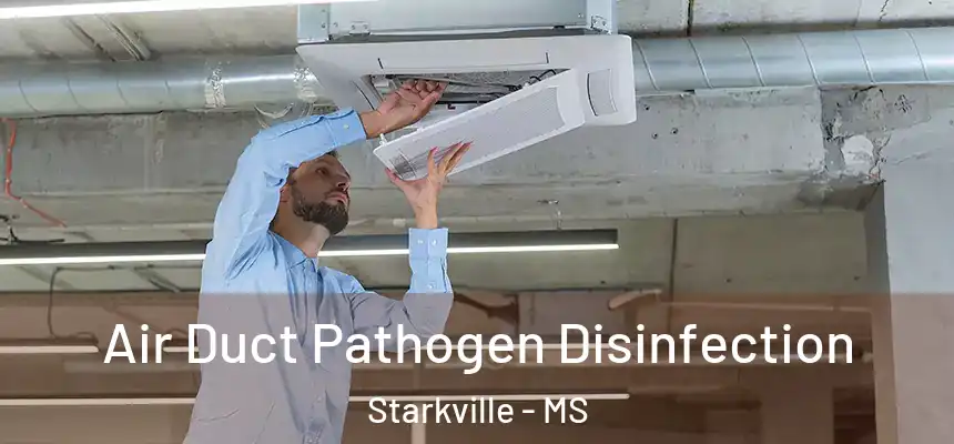 Air Duct Pathogen Disinfection Starkville - MS
