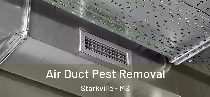 Air Duct Pest Removal Starkville - MS