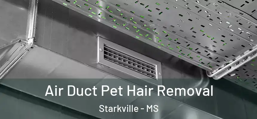 Air Duct Pet Hair Removal Starkville - MS