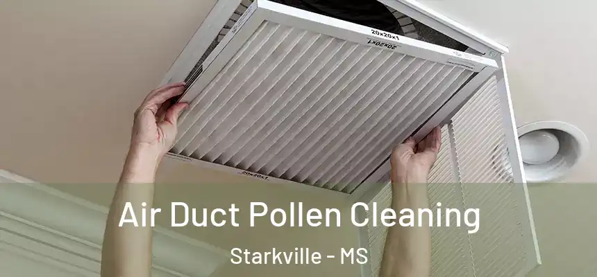 Air Duct Pollen Cleaning Starkville - MS