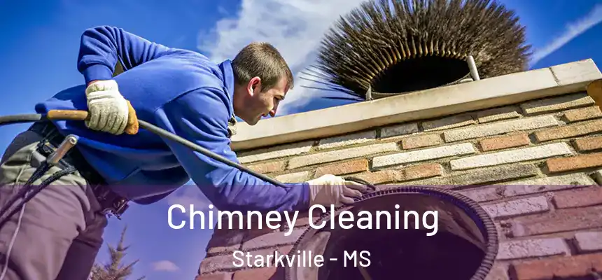 Chimney Cleaning Starkville - MS