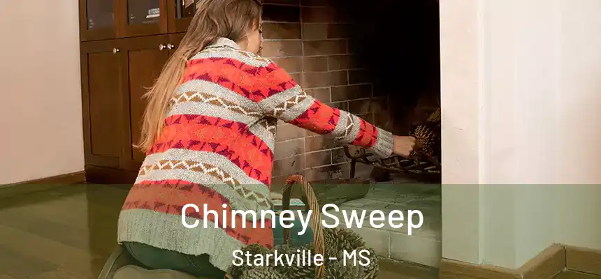 Chimney Sweep Starkville - MS