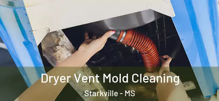 Dryer Vent Mold Cleaning Starkville - MS