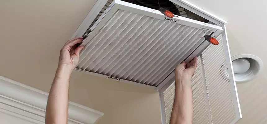 Preventive Cockroach-Proofing for Ducts in Starkville