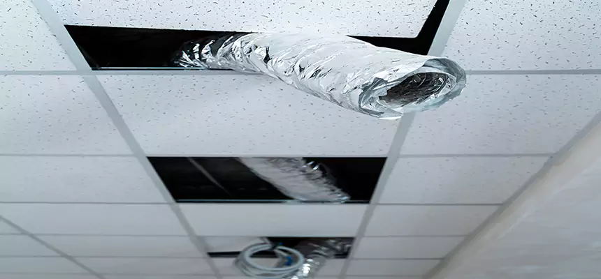 Our Air Duct Pet Hair Removal Services in Starkville, MS