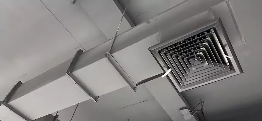 Our Rodent Droppings In Vents Services in Starkville, MS