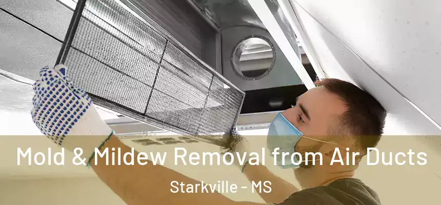 Mold & Mildew Removal from Air Ducts Starkville - MS