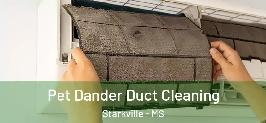 Pet Dander Duct Cleaning Starkville - MS