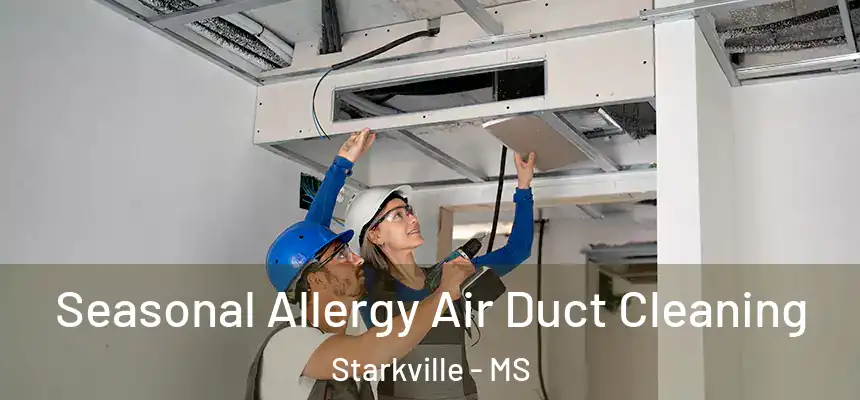 Seasonal Allergy Air Duct Cleaning Starkville - MS