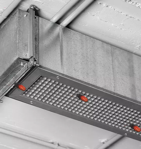 About Air Duct Cockroach Removal in Starkville, MS