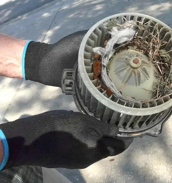 About Air Duct Mice Removal in Starkville, MS