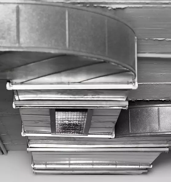 Professional Air Duct Pet Hair Removal in Starkville, MS