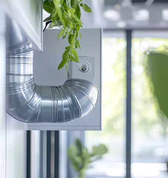 Professional Eco-Safe Dryer Vent Cleaning in Starkville, MS