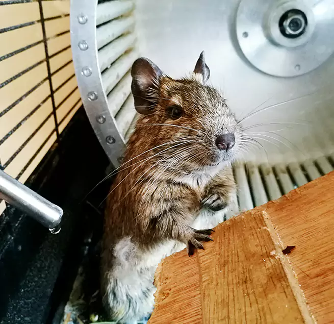 Why Homeowners & Businesses Trust Us Starkville, MS