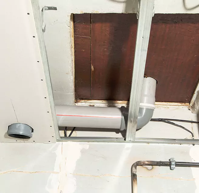 Why Homeowners & Businesses Trust Us in Starkville, MS?