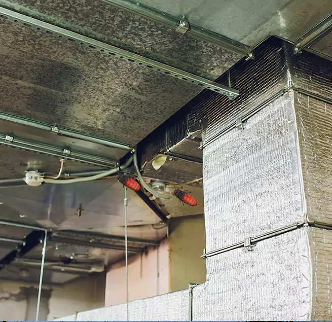 Why Homeowners & Businesses Trust Us Starkville, MS?